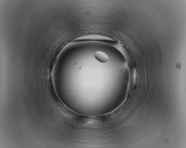 X0000097490555200802221417