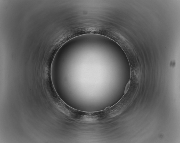 X0000097490556200802221417