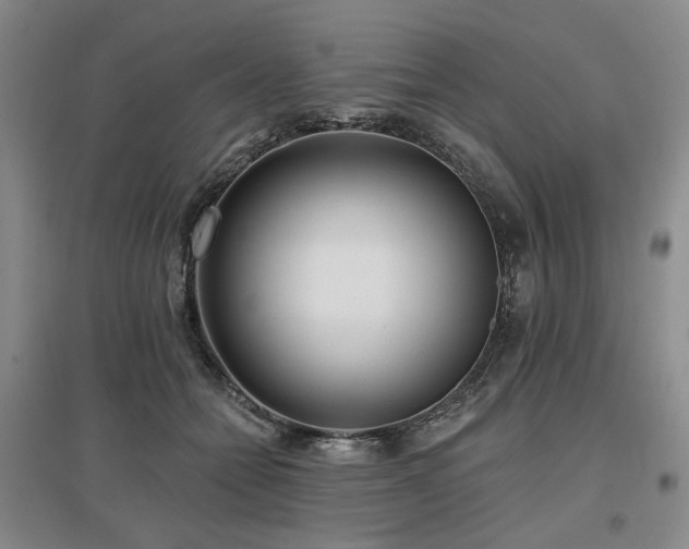 X0000097490558200802221417