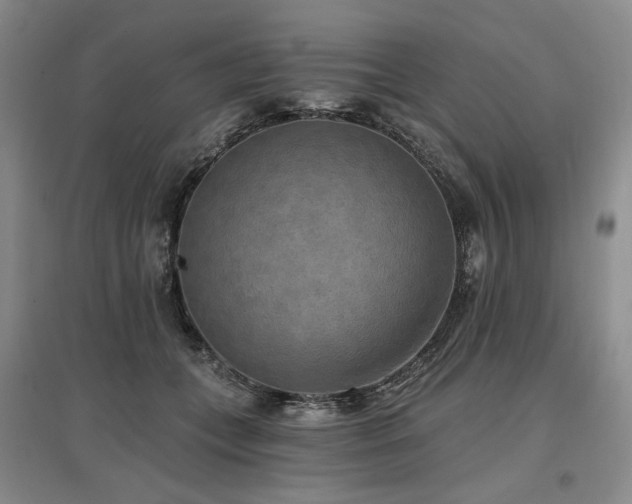 X0000097490559200802221417