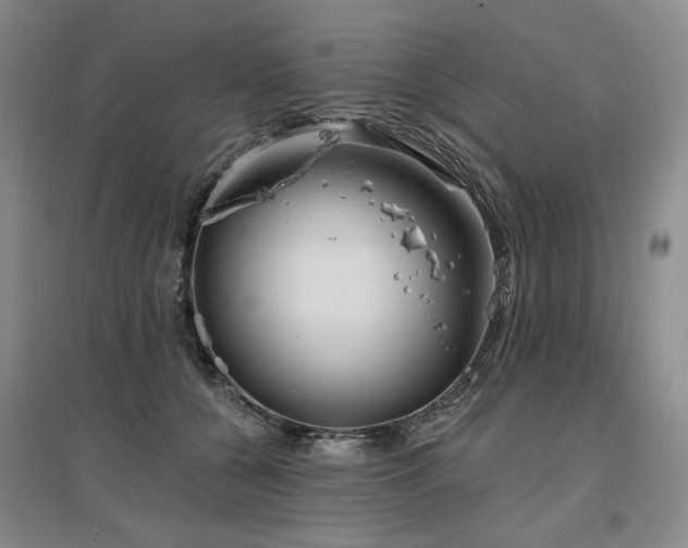 X0000097490560200802221417