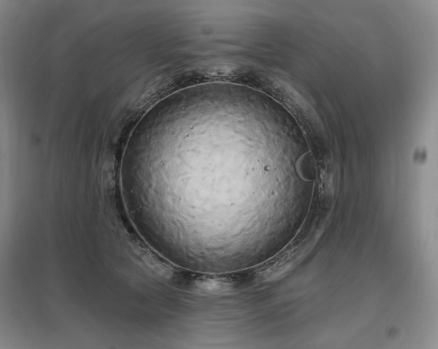 X0000097490561200802221417