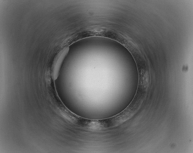 X0000097490562200802221418