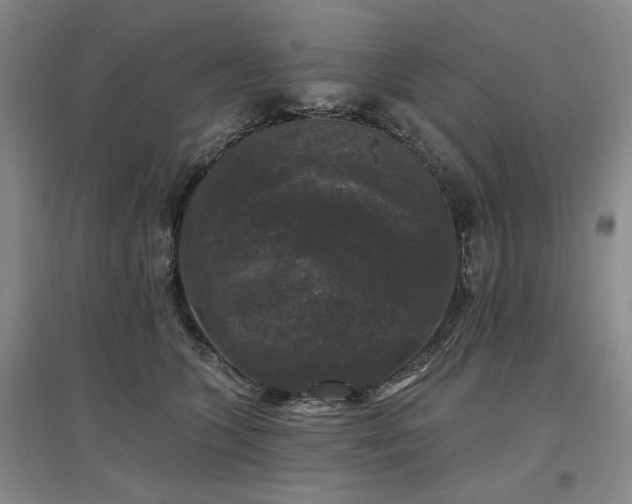 X0000097490563200802221418