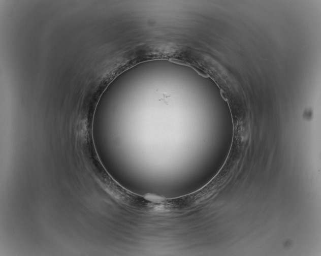 X0000097490564200802221418