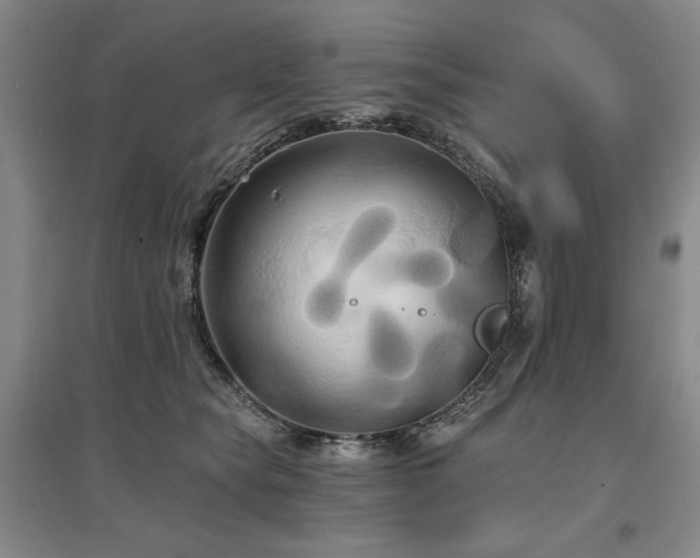 X0000097490565200802221418