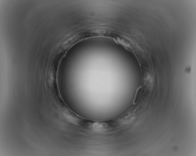 X0000097490566200802221418