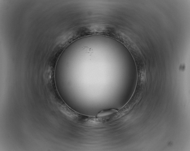 X0000097490567200802221418