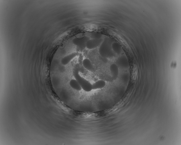 X0000097490569200802221418