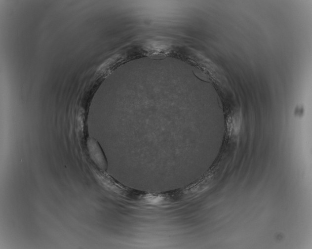 X0000097490570200802221418