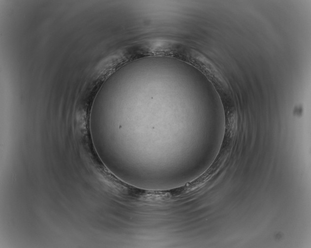 X0000097490571200802221418