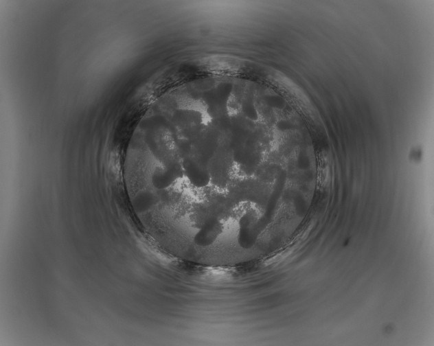 X0000097490573200802221418