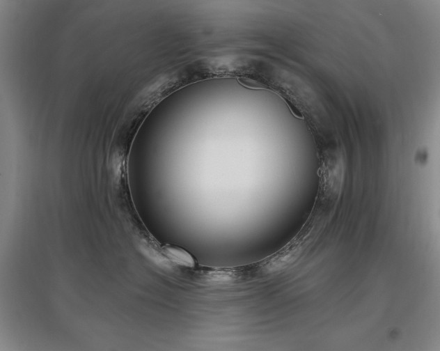 X0000097490574200802221418