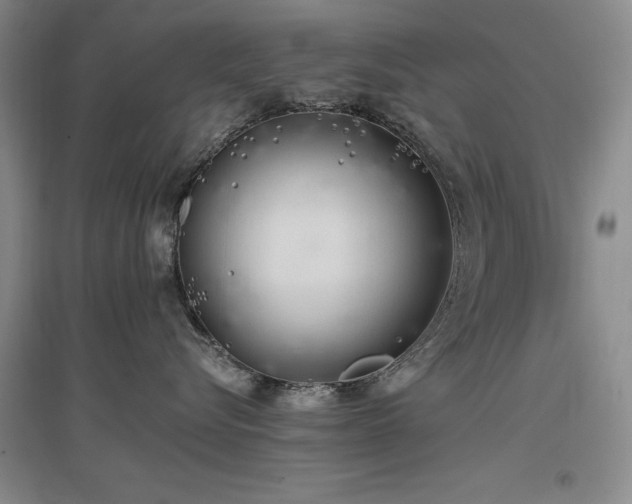 X0000097490576200802221418