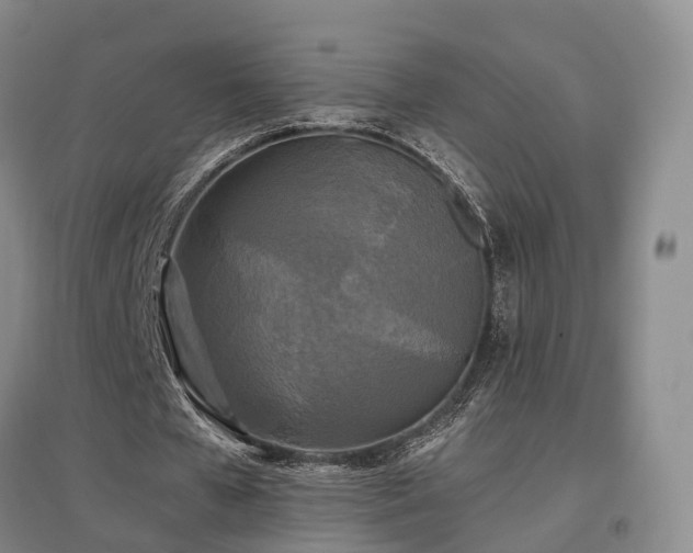 X0000097490577200802221417