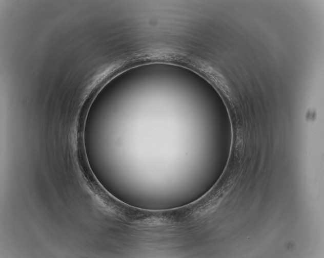 X0000097490578200802221417