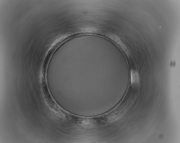 X0000097490579200802221417