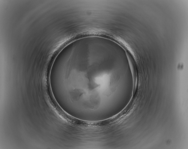 X0000097490581200802221417