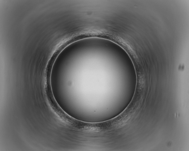 X0000097490582200802221417