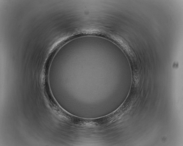 X0000097490583200802221417