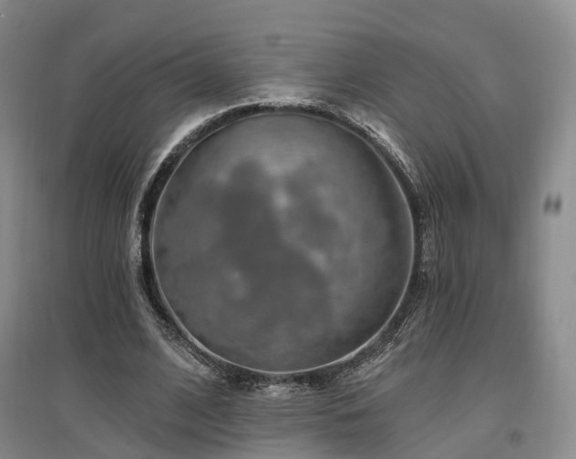 X0000097490584200802221417