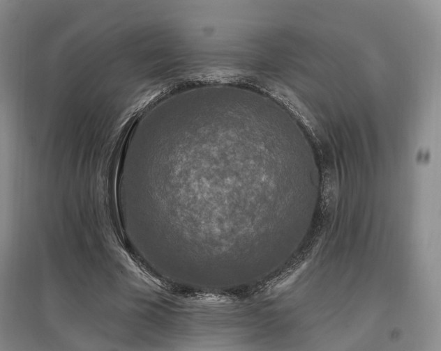 X0000097490585200802221417