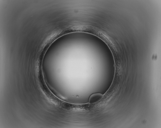 X0000097490586200802221417