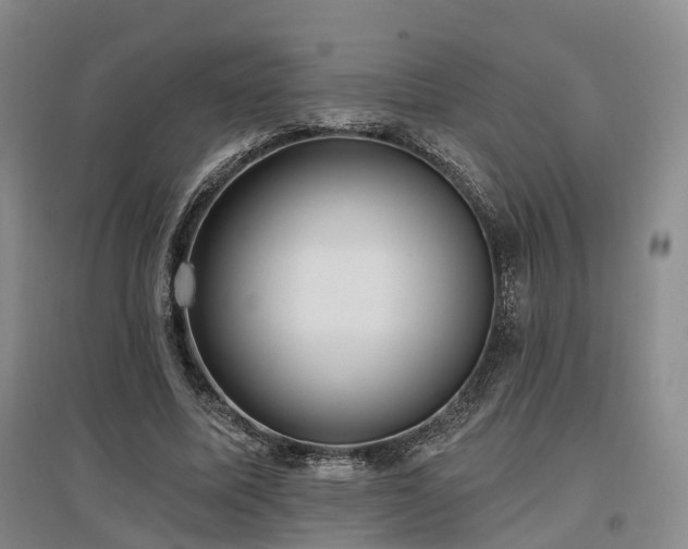 X0000097490587200802221417