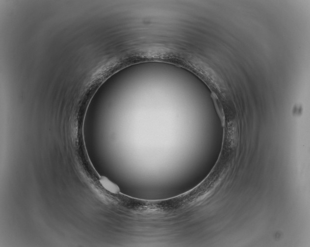 X0000097490589200802221417