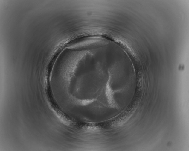 X0000097490590200802221417