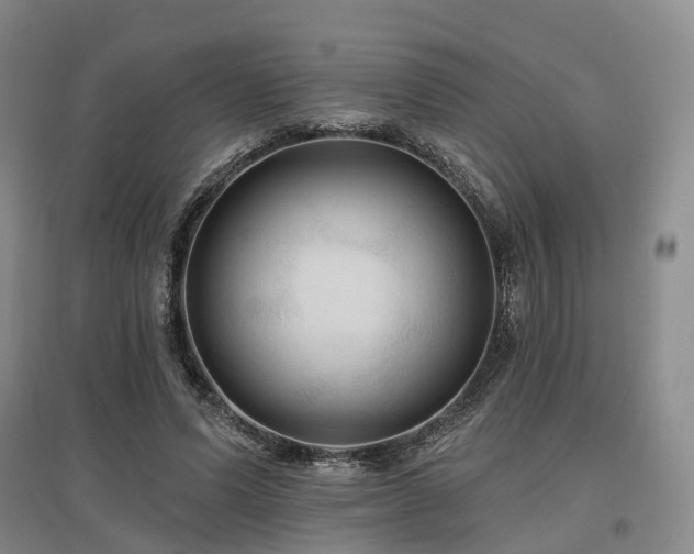 X0000097490591200802221417