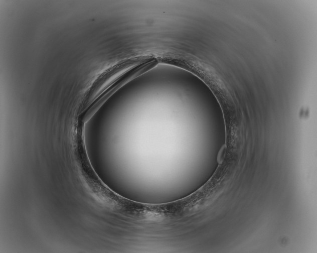 X0000097490592200802221417