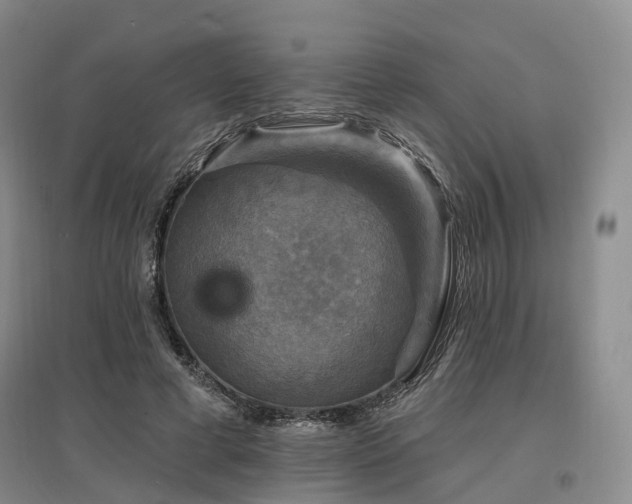 X0000097490593200802221417