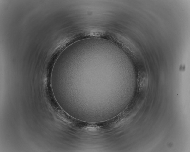 X0000097490595200802221417