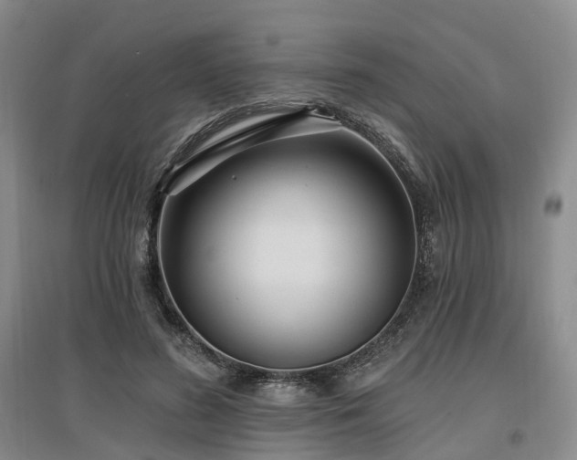 X0000097490596200802221417