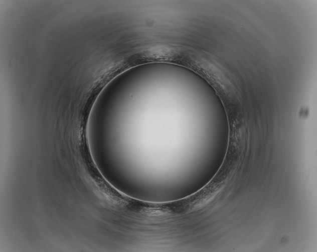 X0000097490597200802221417