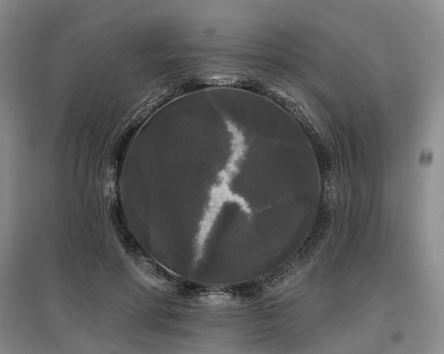 X0000097490598200802221417