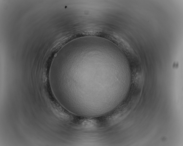 X0000097490599200802221417