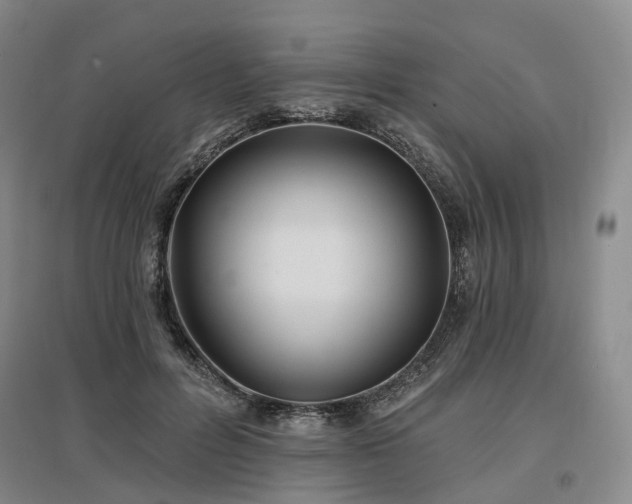 X0000097490600200802221417