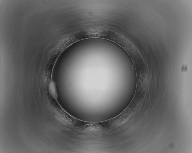 X0000097490601200802221417