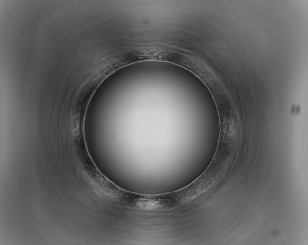 X0000097490602200802221417