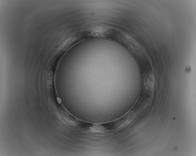 X0000097490603200802221417