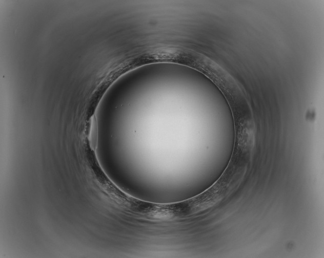 X0000097490604200802221417