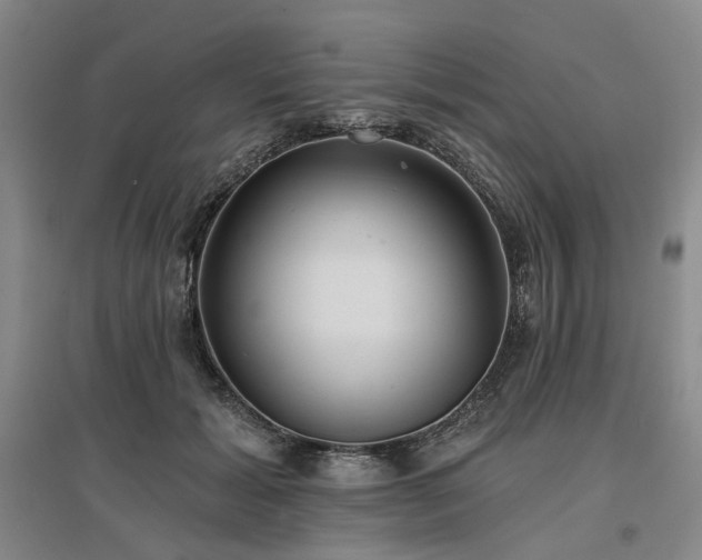 X0000097490605200802221417