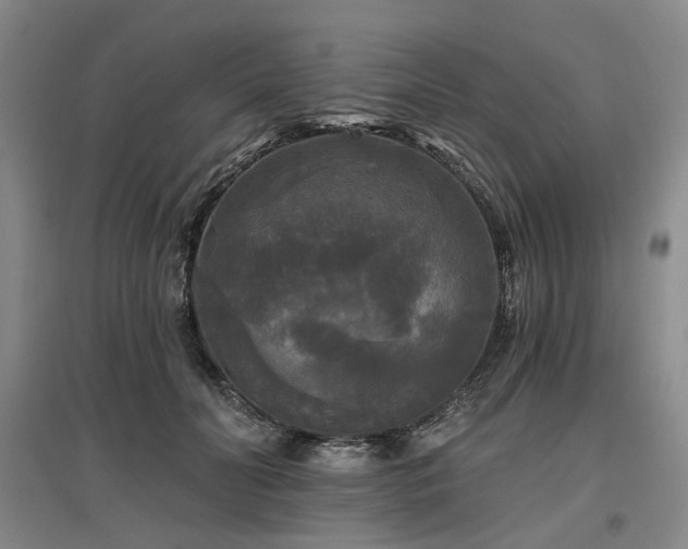 X0000097490606200802221417