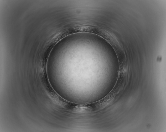 X0000097490607200802221417