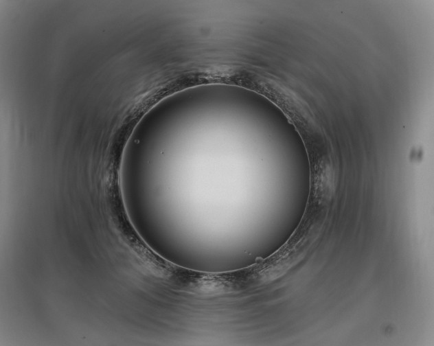 X0000097490608200802221417