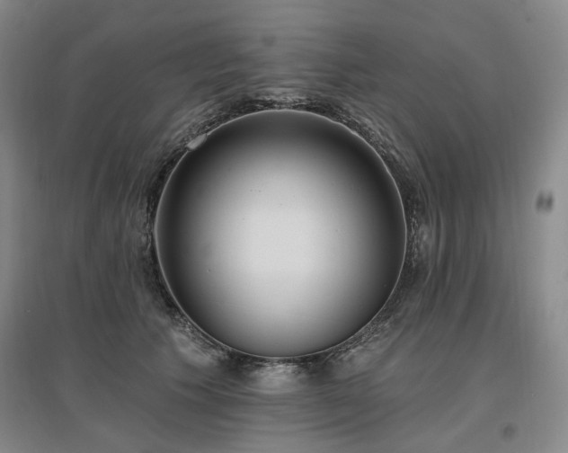 X0000097490609200802221417