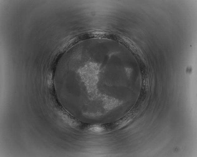 X0000097490610200802221417