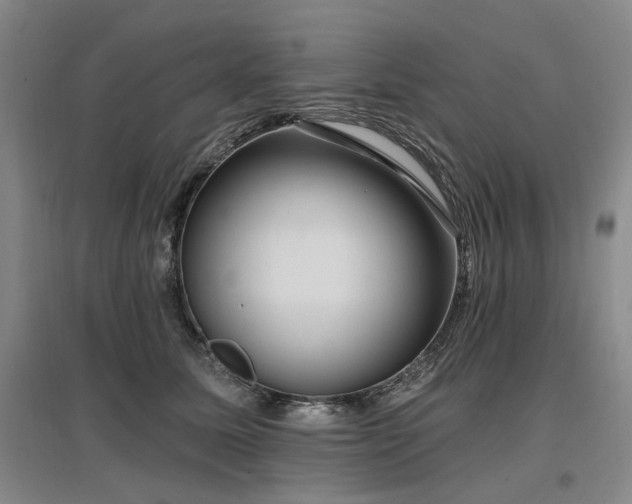 X0000097490611200802221417